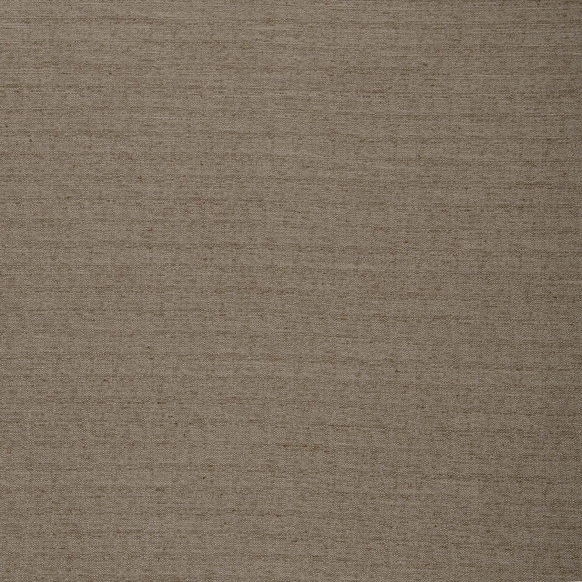 Director-Barley - Atlanta Fabrics