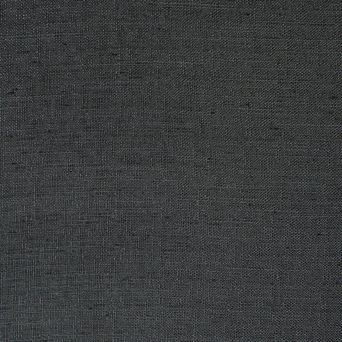 Director-Slate - Atlanta Fabrics