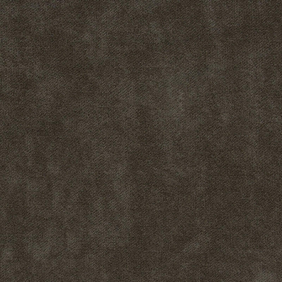 Domaine-Sandlewood - Atlanta Fabrics