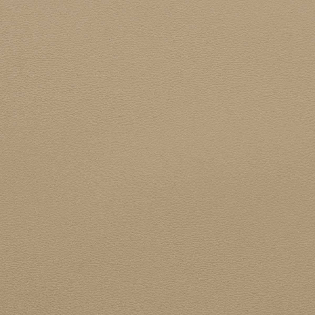 Force-Cream - Atlanta Fabrics