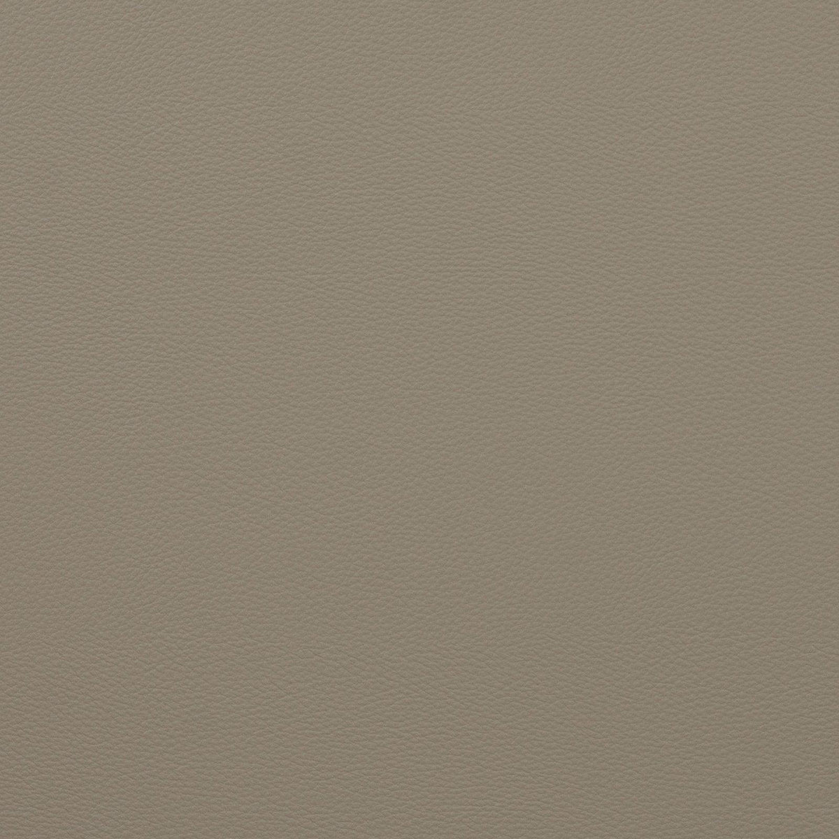 Force-Light Parchment - Atlanta Fabrics