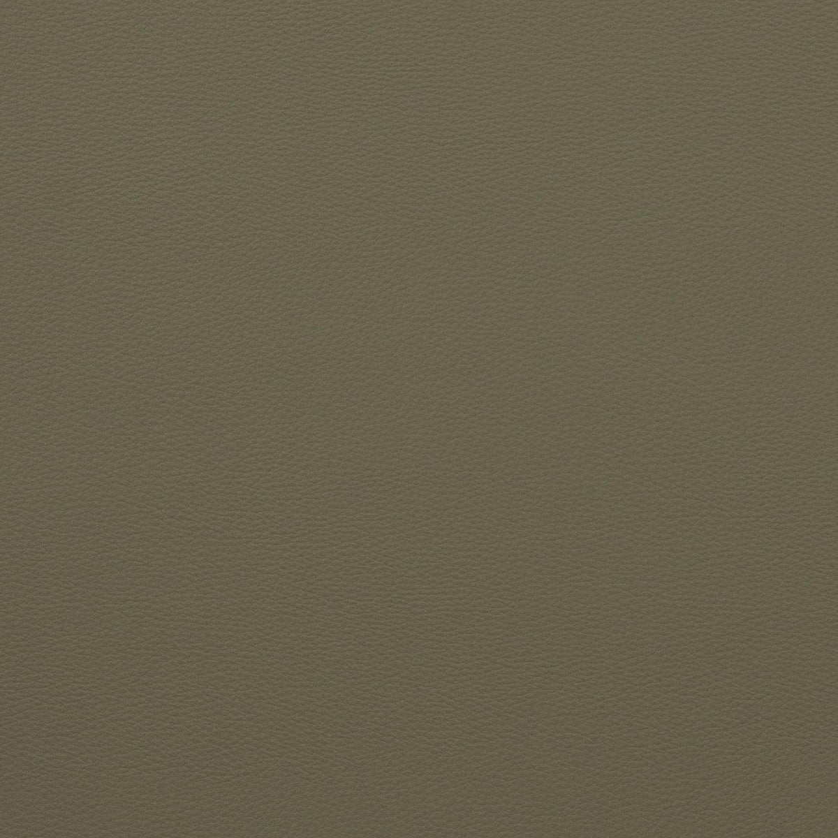 Mitchell Fabrics Force-Tea Green Fabric | Atlanta Fabrics