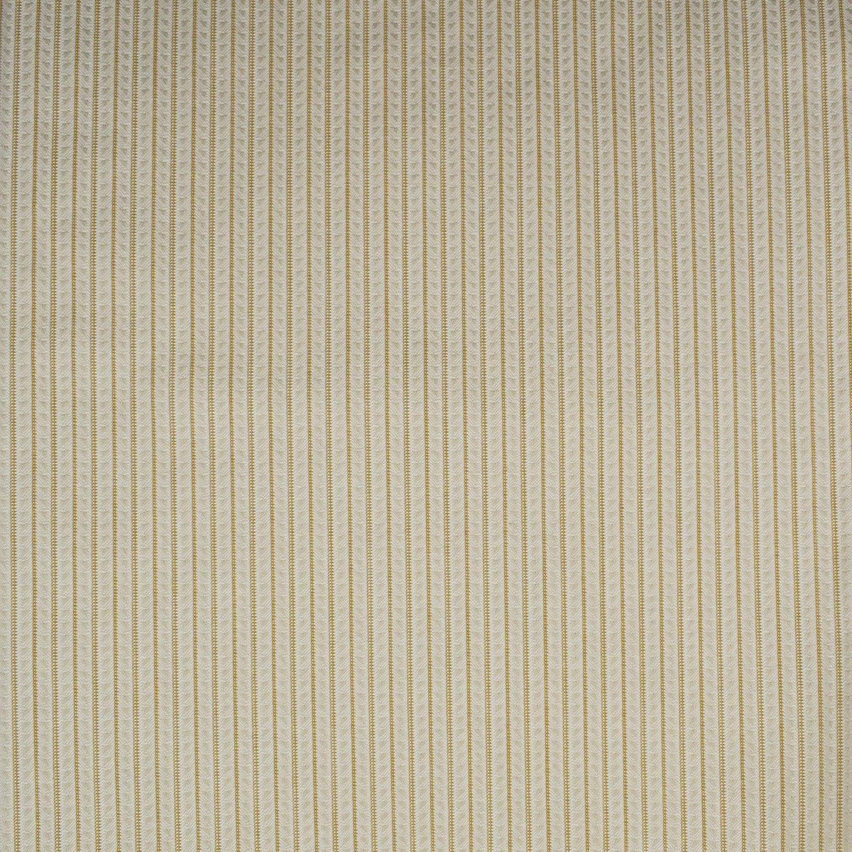 Gone Too Long S3911 Goldenrod - Atlanta Fabrics