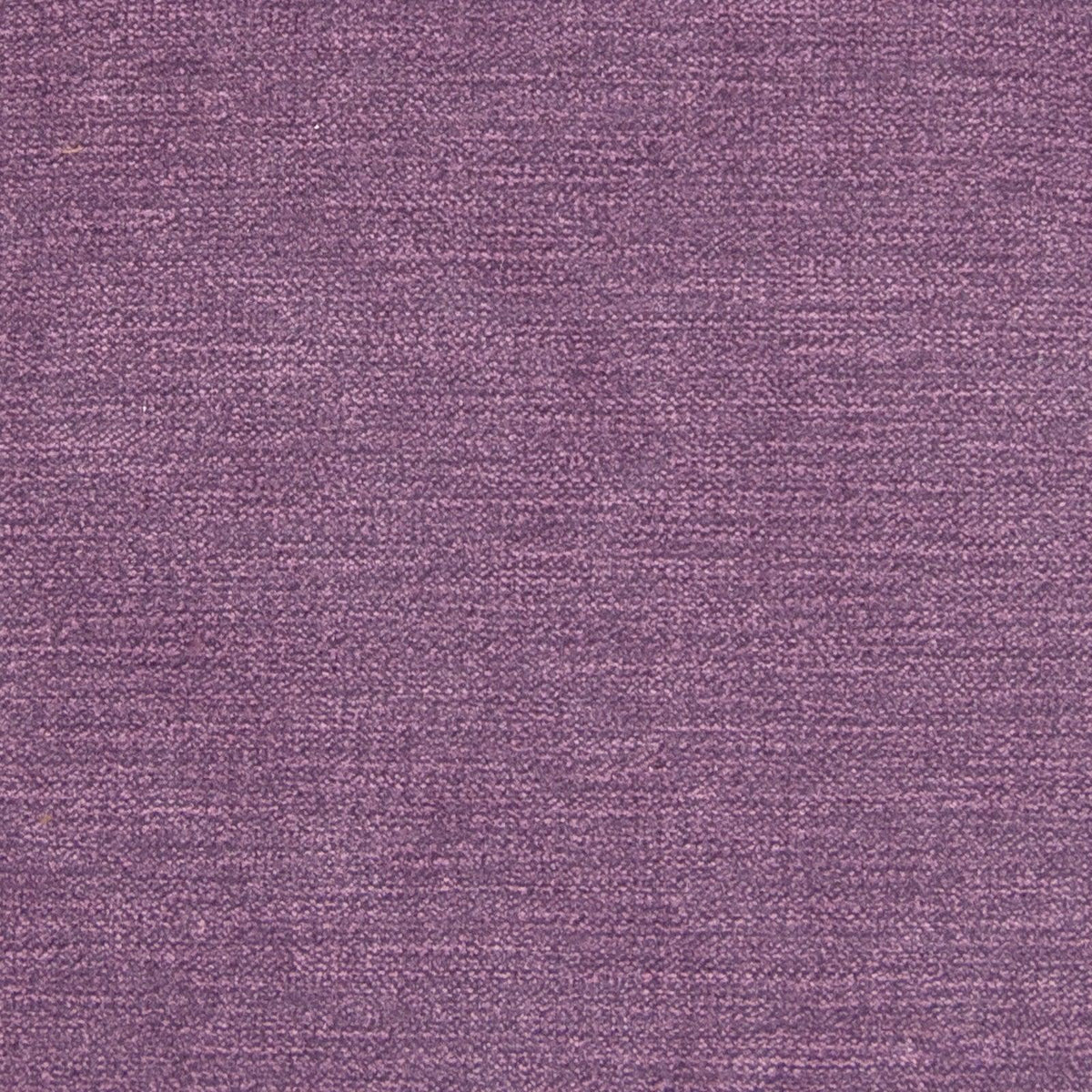 Haley Velvet B1250 Aubergine - Atlanta Fabrics