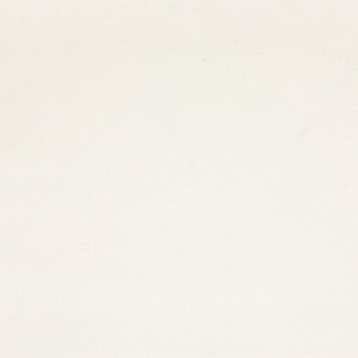 Haley Velvet B1251 Snow - Atlanta Fabrics