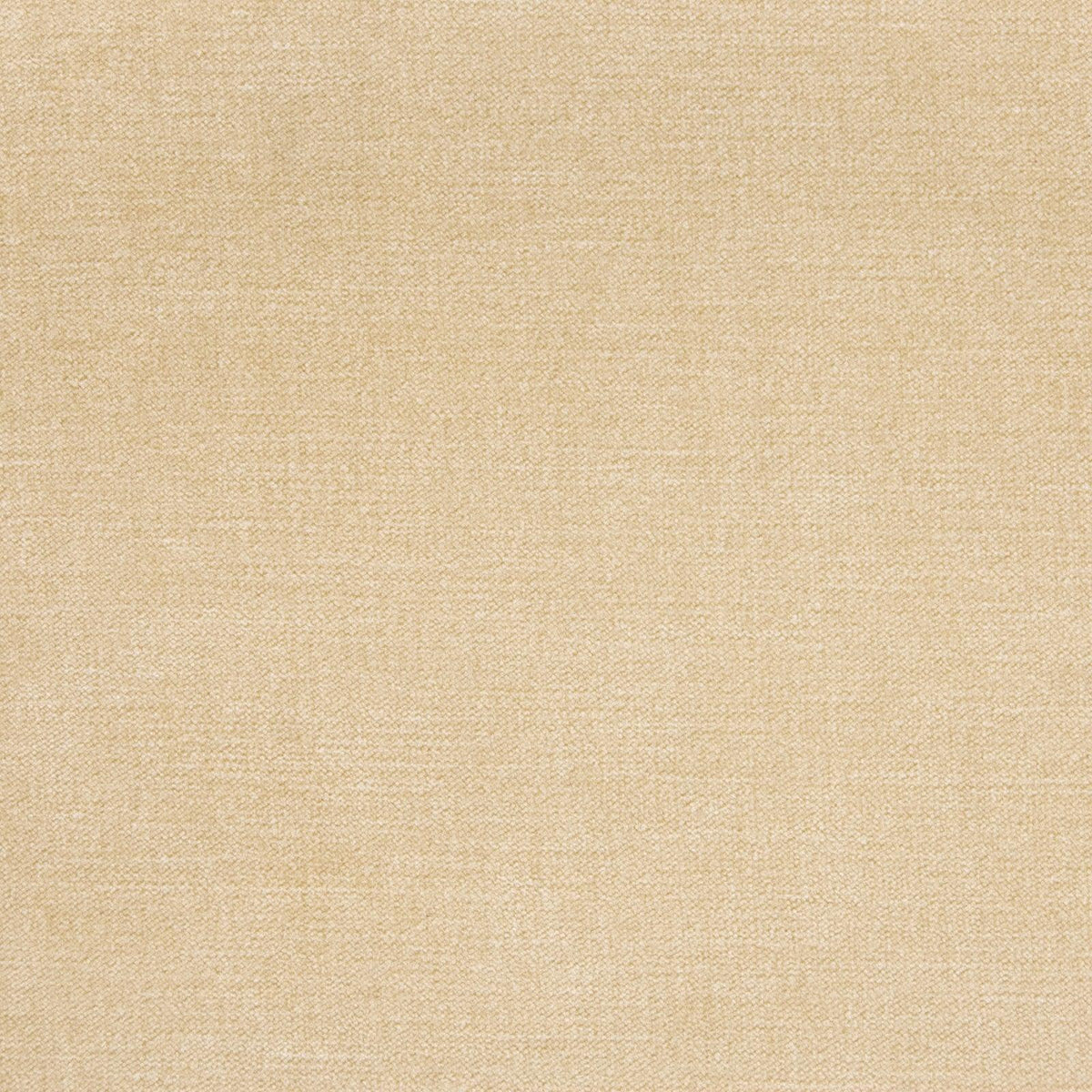 Haley Velvet B1253 Sand - Atlanta Fabrics