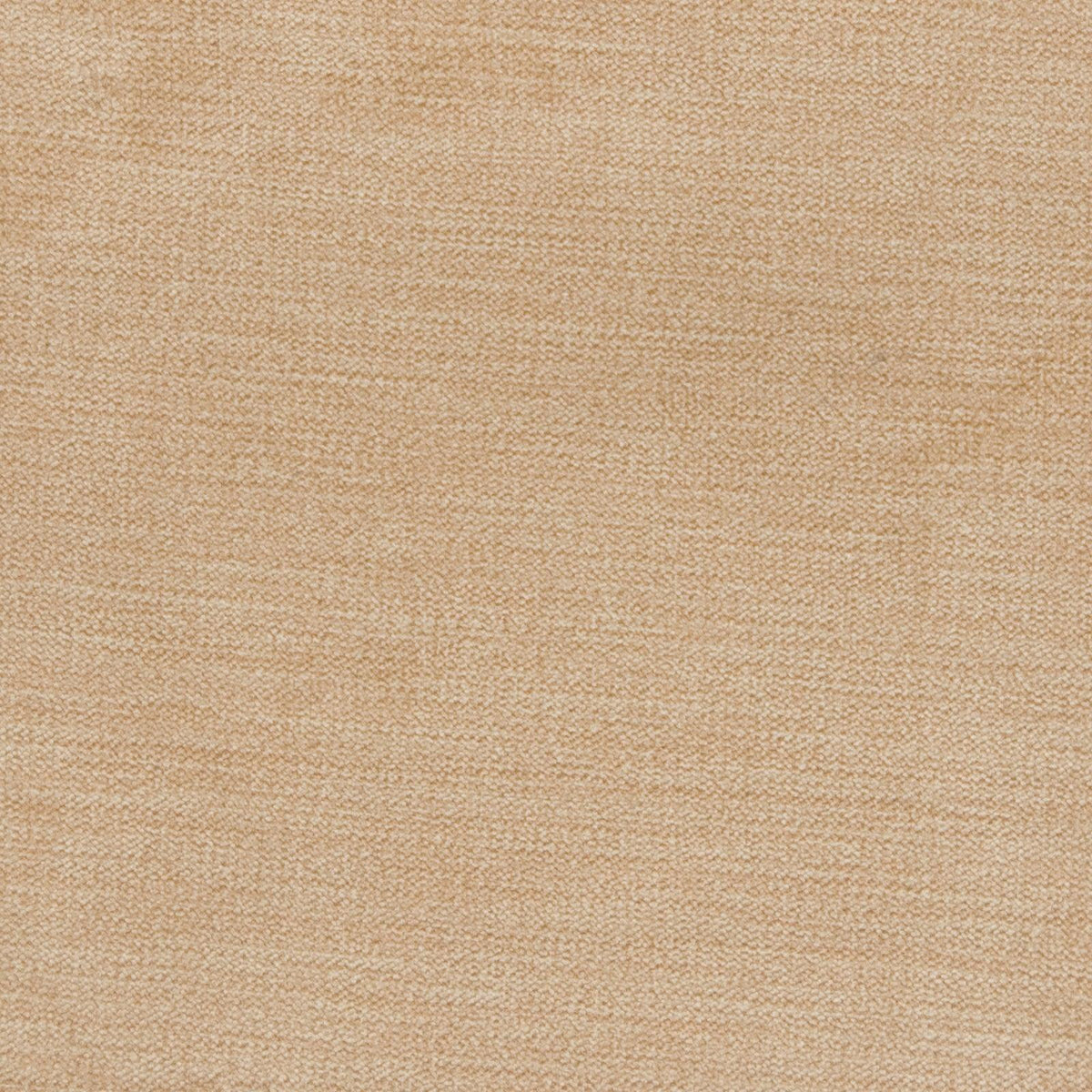 Haley Velvet B1254 Raffia - Atlanta Fabrics