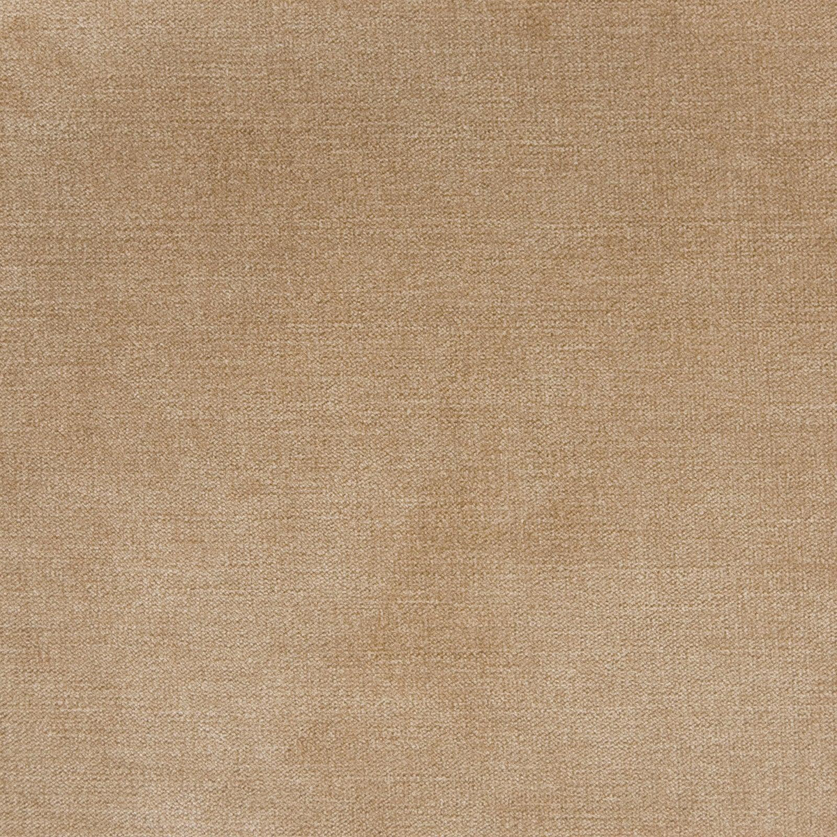 Haley Velvet B1255 Taupe - Atlanta Fabrics