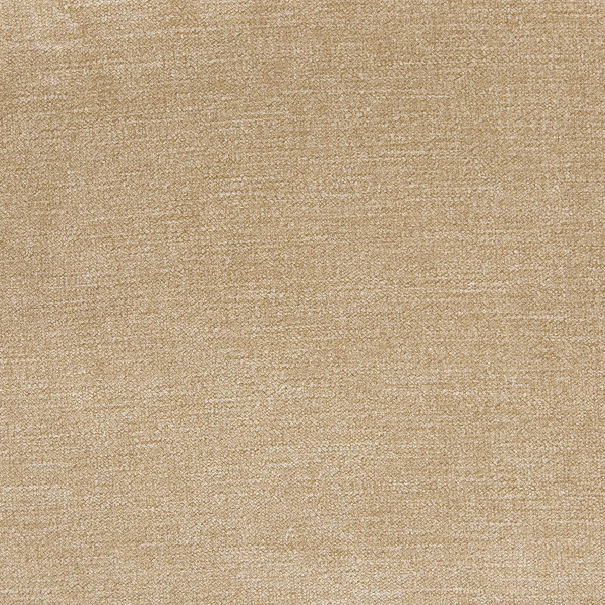 Haley Velvet B1256 Khaki - Atlanta Fabrics