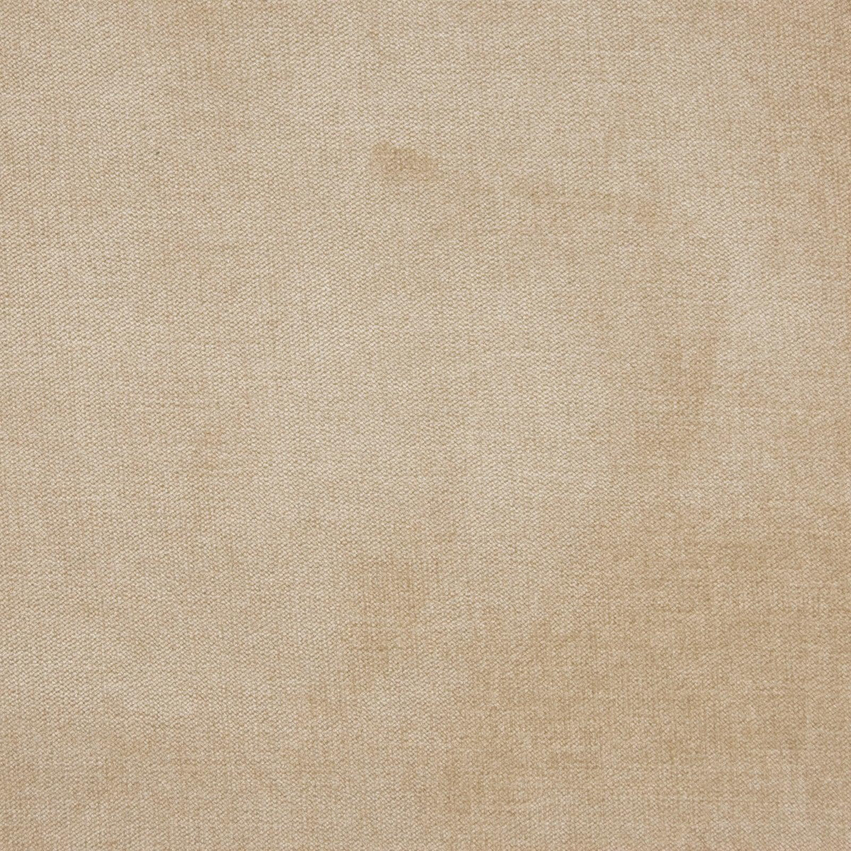Haley Velvet B1257 Neutral - Atlanta Fabrics
