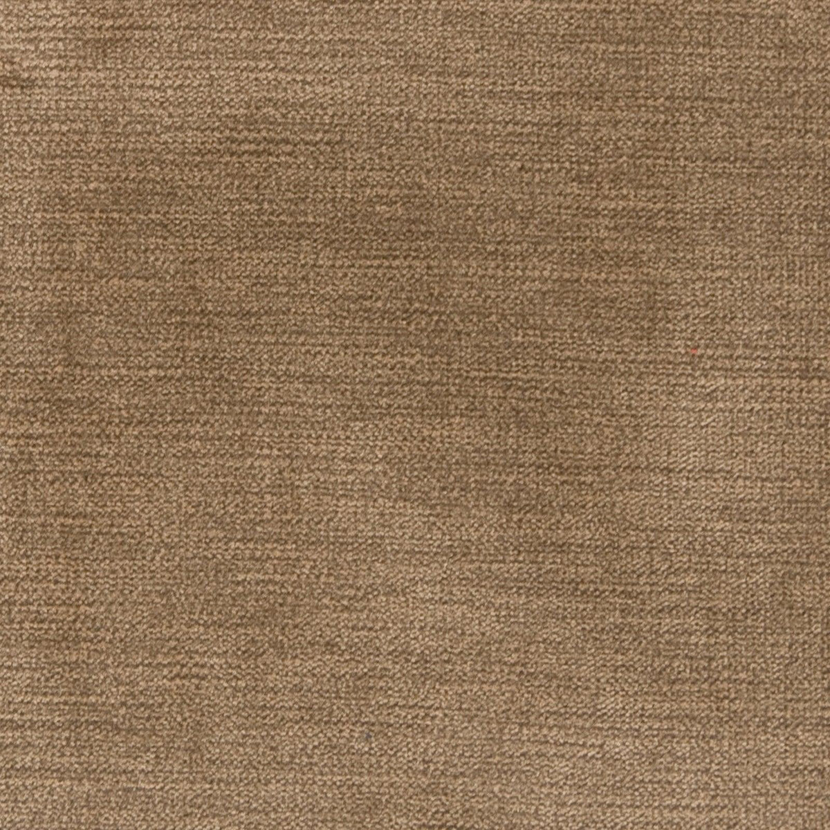 Haley Velvet B1259 Nutmeg - Atlanta Fabrics