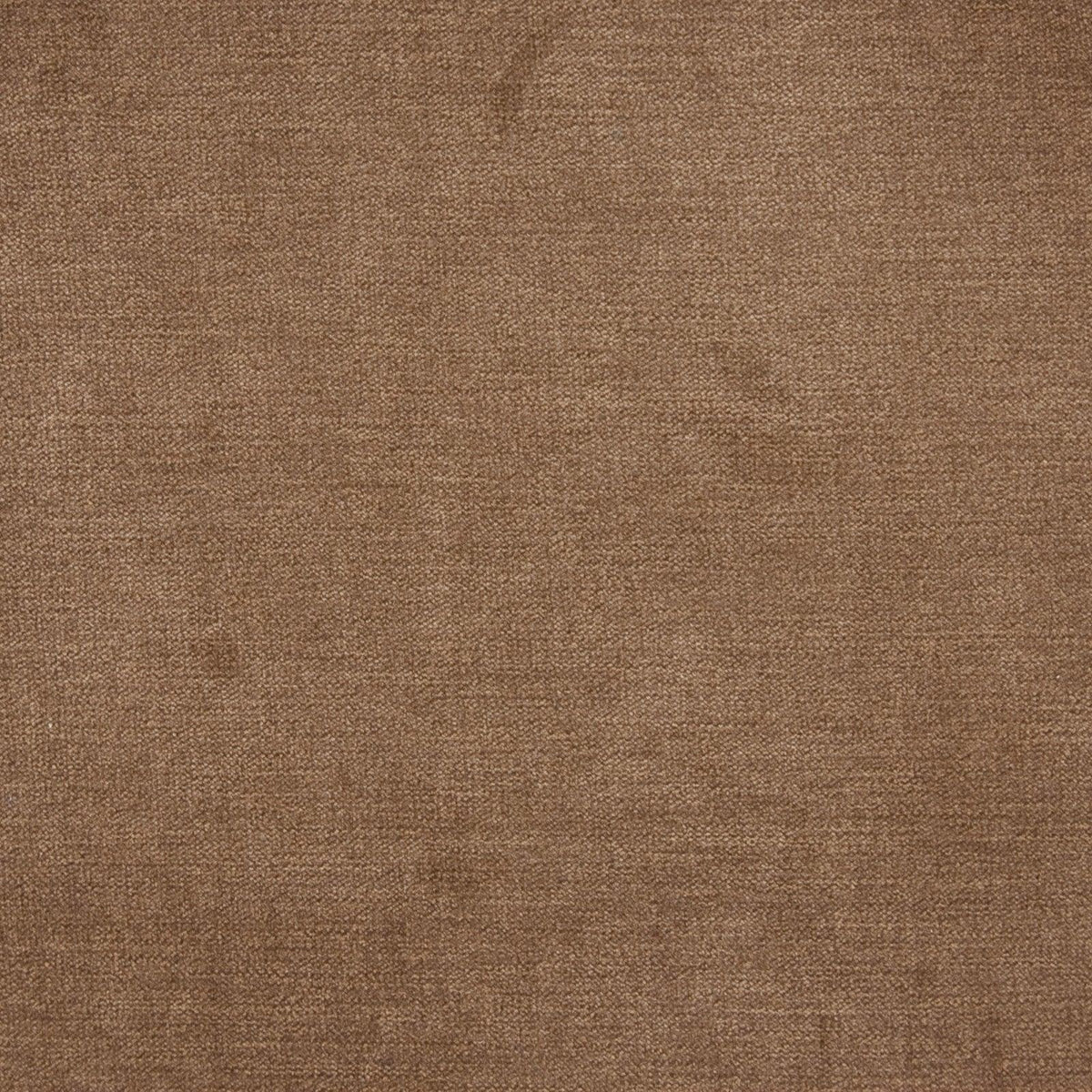 Haley Velvet B1260 Oak - Atlanta Fabrics
