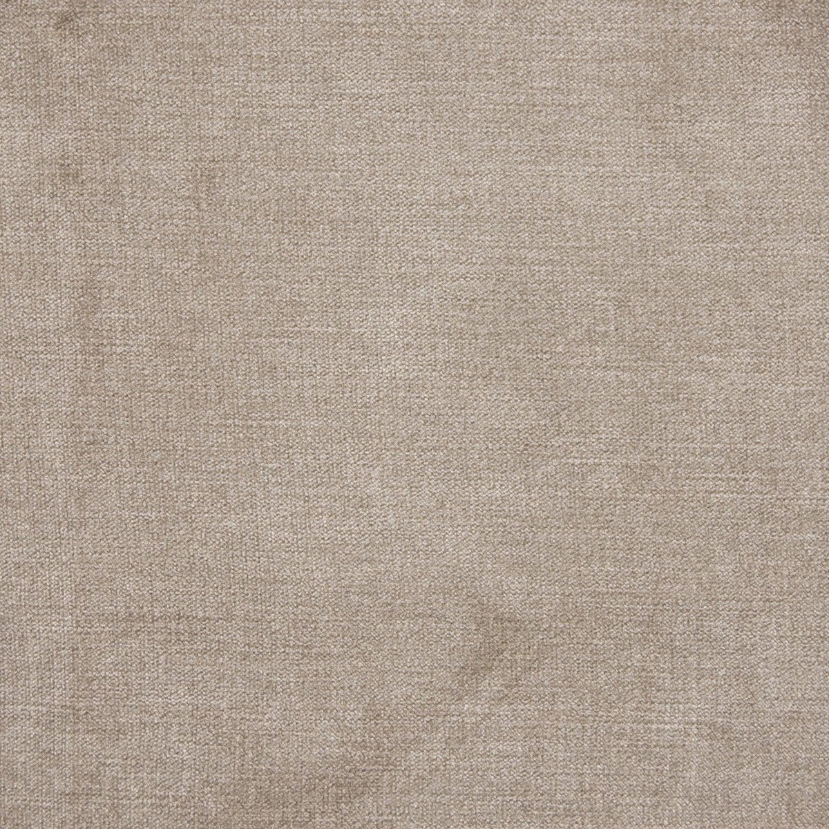 Haley Velvet B1262 Birch - Atlanta Fabrics