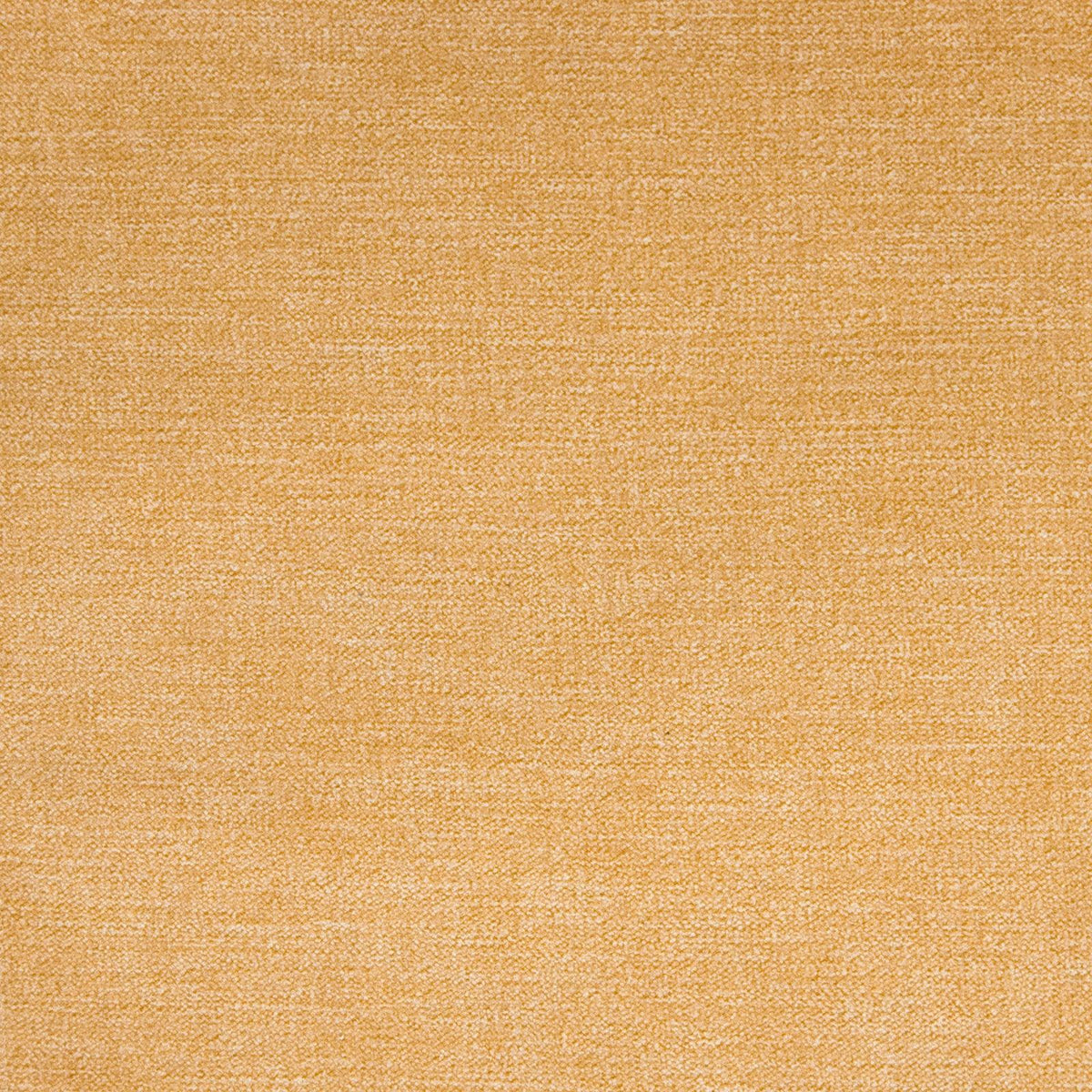Haley Velvet B1271 Canary - Atlanta Fabrics
