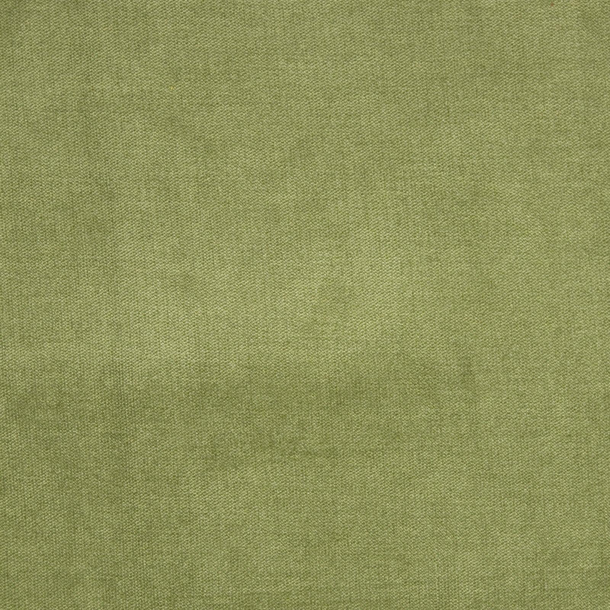 Haley Velvet B1272 Fern - Atlanta Fabrics