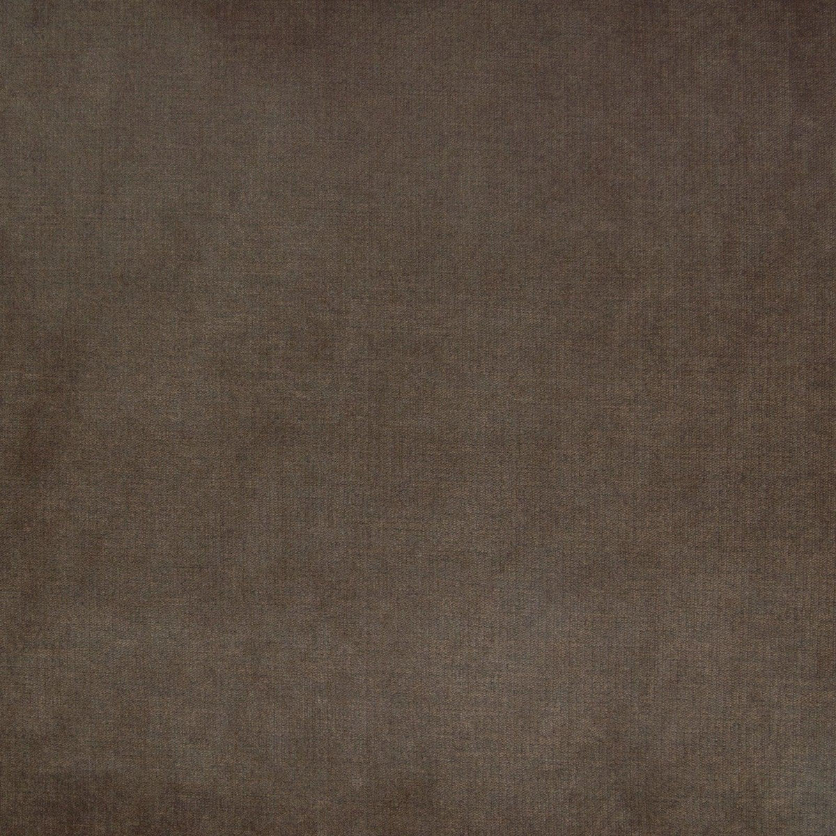 Haley Velvet B4619 Chocolate - Atlanta Fabrics