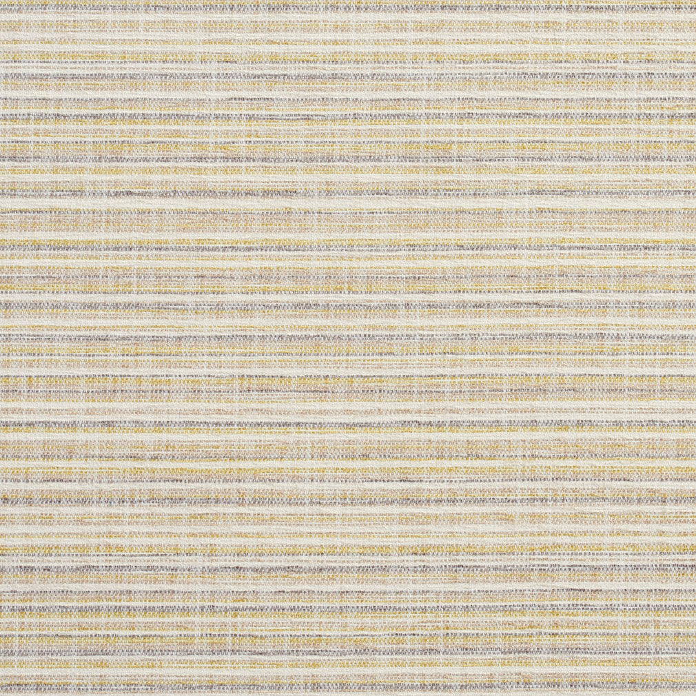 Charlotte Fabrics 10460-01 Fabric | Atlanta Fabrics