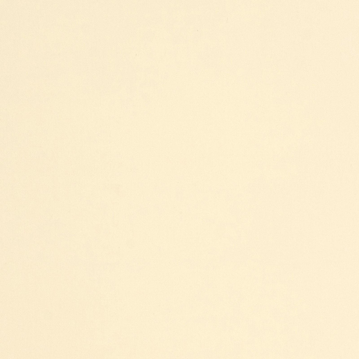 Napped Sateen-Ivory - Atlanta Fabrics