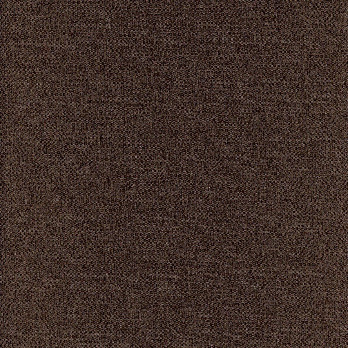 Newton-Chocolate - Atlanta Fabrics