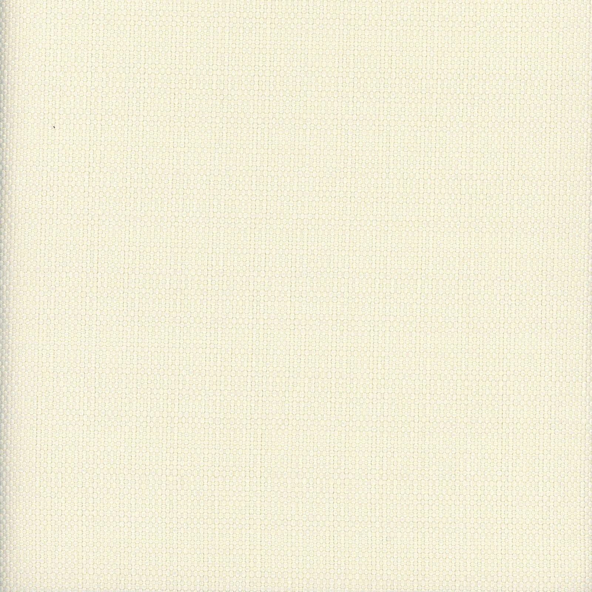 Newton-Coconut - Atlanta Fabrics