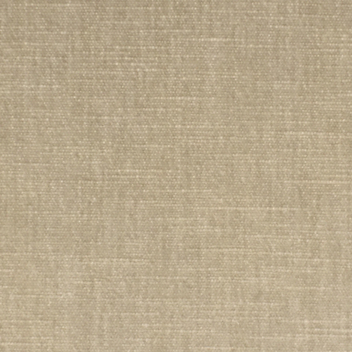 Performance Chenille S3834 Macadamia - Atlanta Fabrics