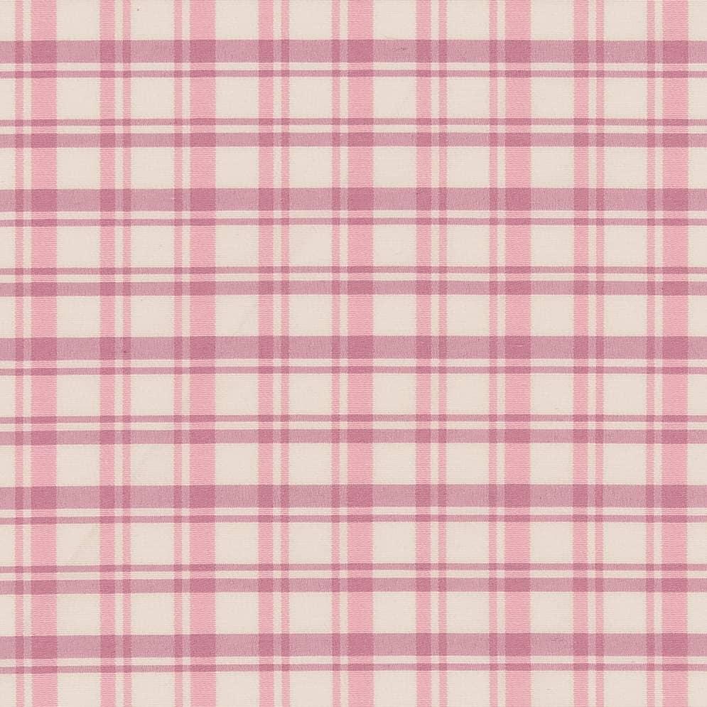 Picnic D2389 Watermelon - Atlanta Fabrics