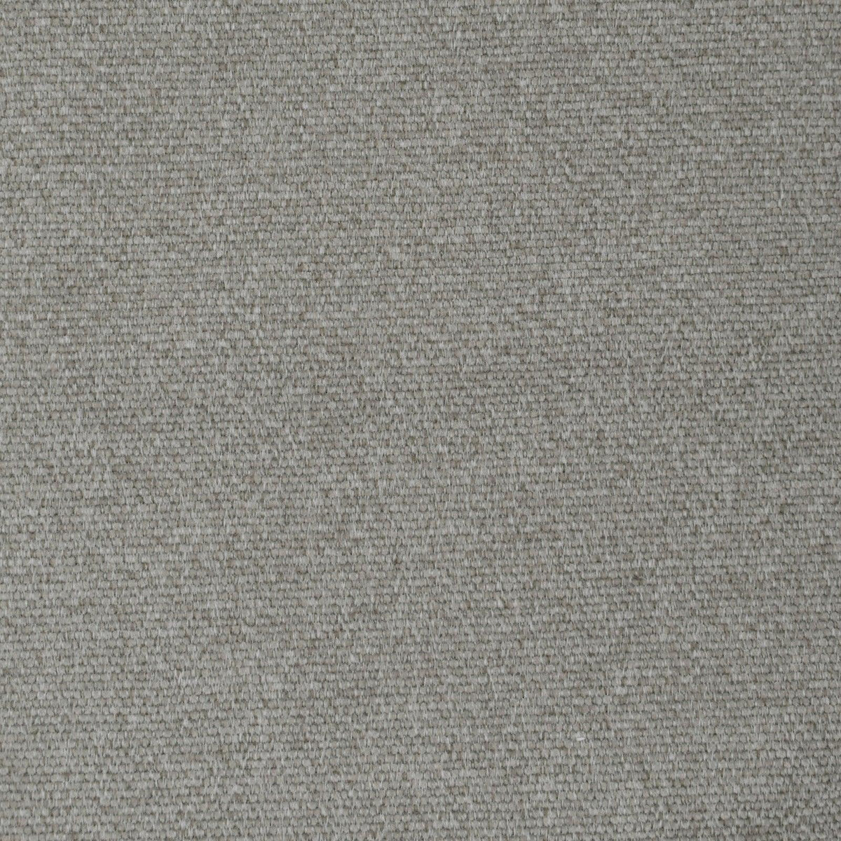 Random Thoughts F3682 Taupe - Atlanta Fabrics