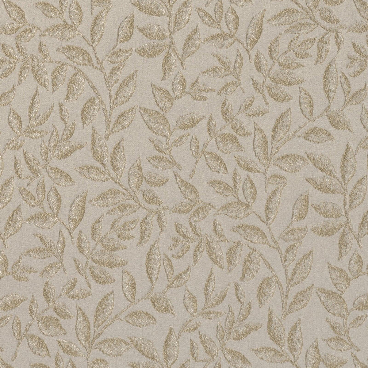 Roberto-Champagne - Atlanta Fabrics