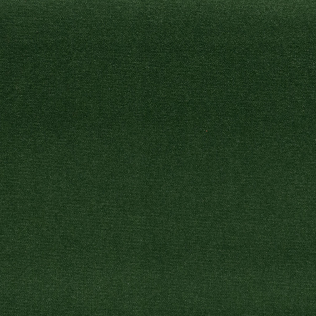 SAHARA - BOXWOOD - Atlanta Fabrics