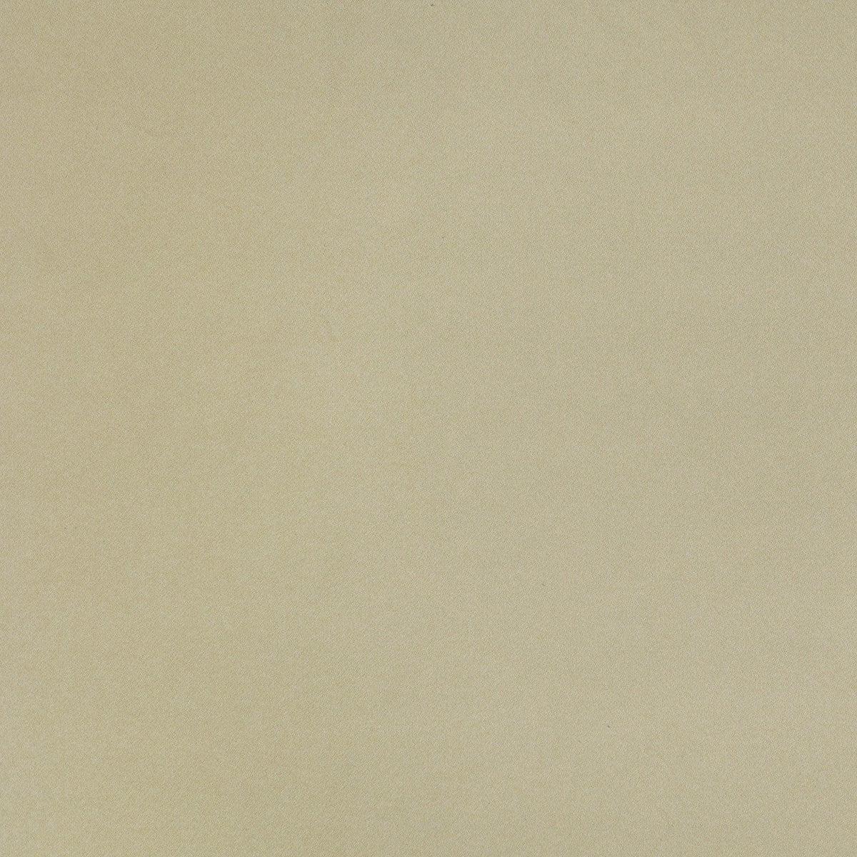 Mitchell Fabrics Tarzan-Aloe Fabric | Atlanta Fabrics