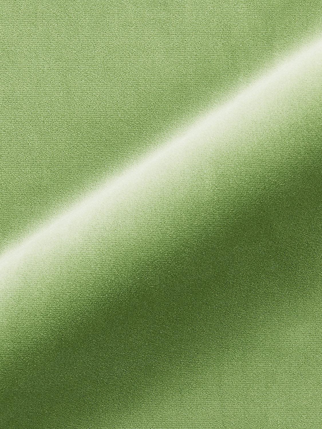 TORINO VELVET MEADOW - Atlanta Fabrics