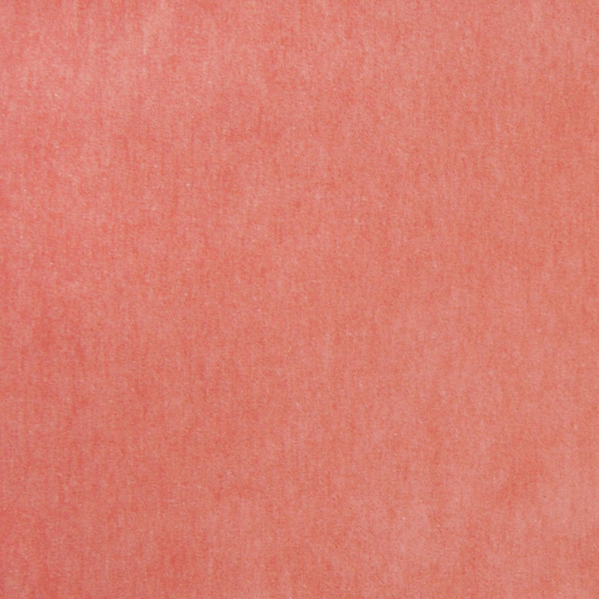 Anna Elisabeth Tuxedo Road A7958 Nectar Fabric | Atlanta Fabrics