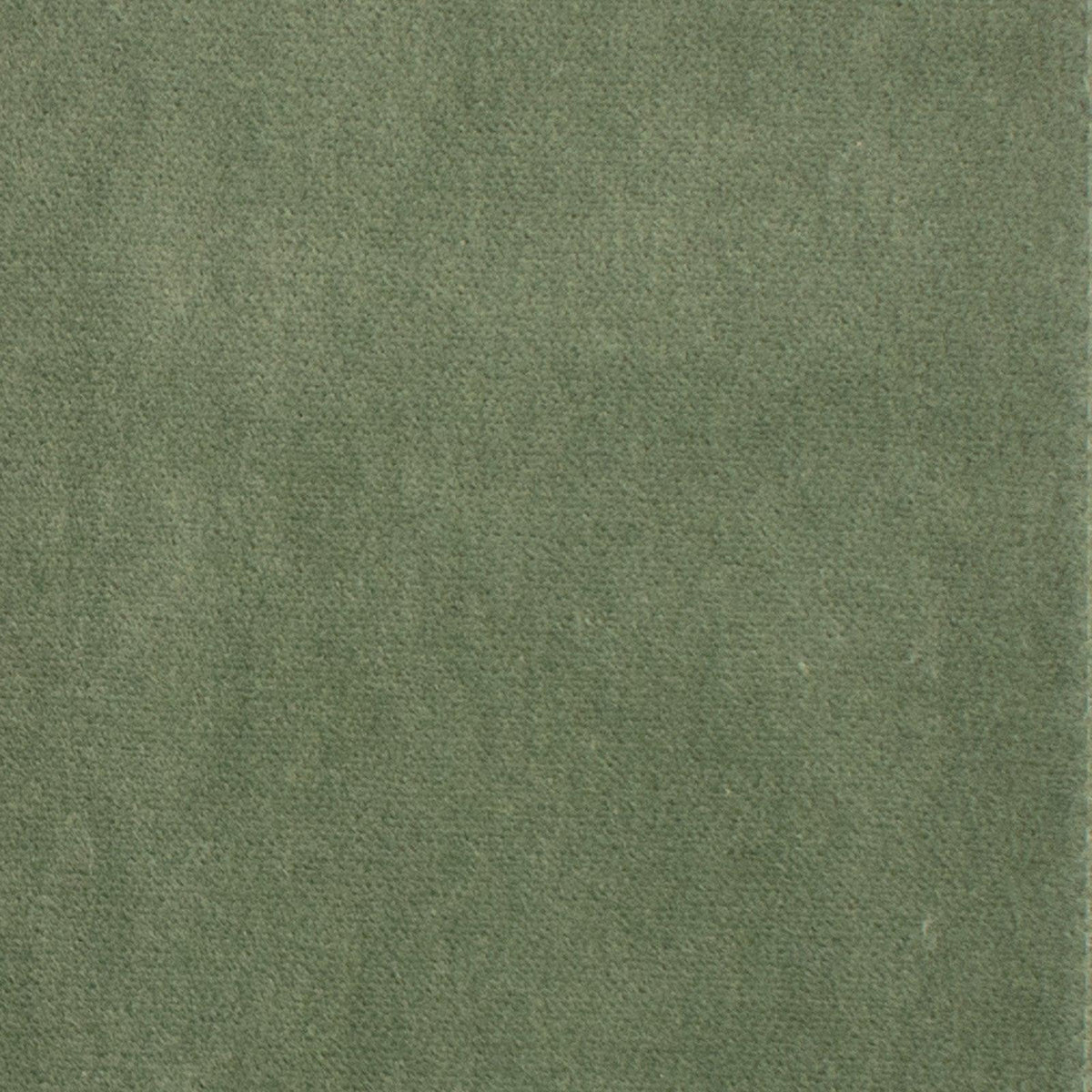 Tuxedo Road S1060 Bonsai - Atlanta Fabrics