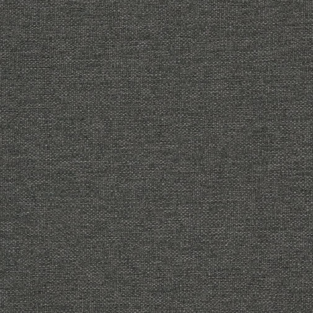 Charlotte Fabrics Walk A Little CB600-102 Fabric | Atlanta Fabrics