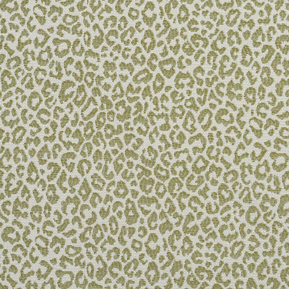 Wild CB700-306 - Atlanta Fabrics