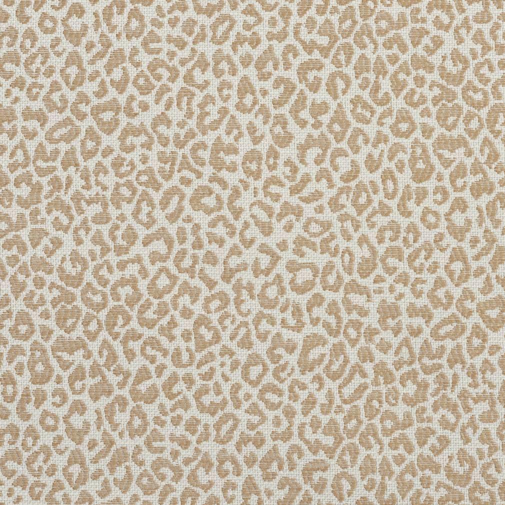 Charlotte Fabrics Wild CB700-98 Fabric | Atlanta Fabrics