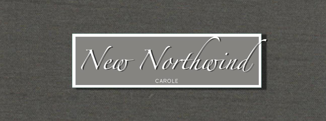 New Northwind by  {{ product.vendor }} - Atlanta Fabrics