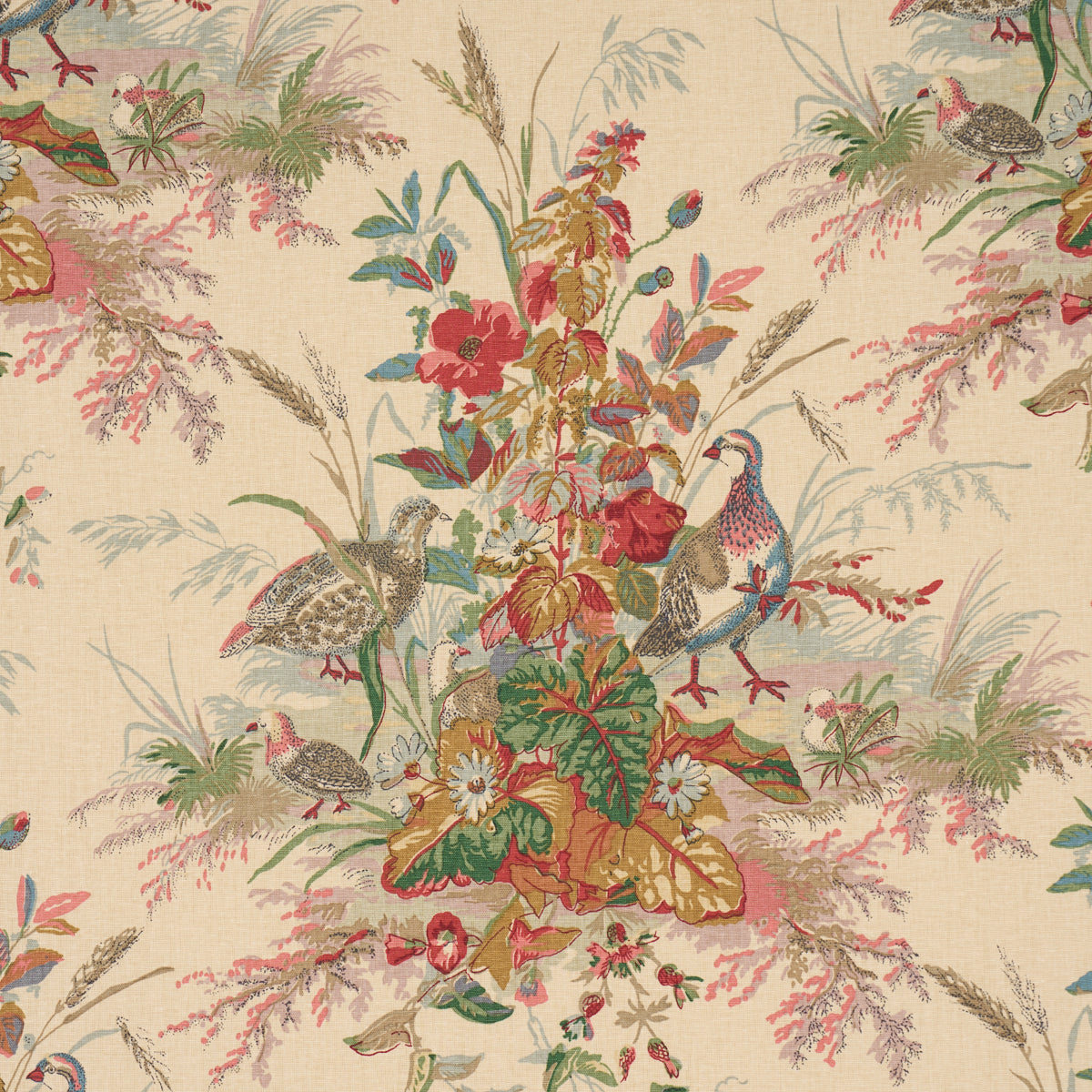 QUAIL MEADOW SUMMER