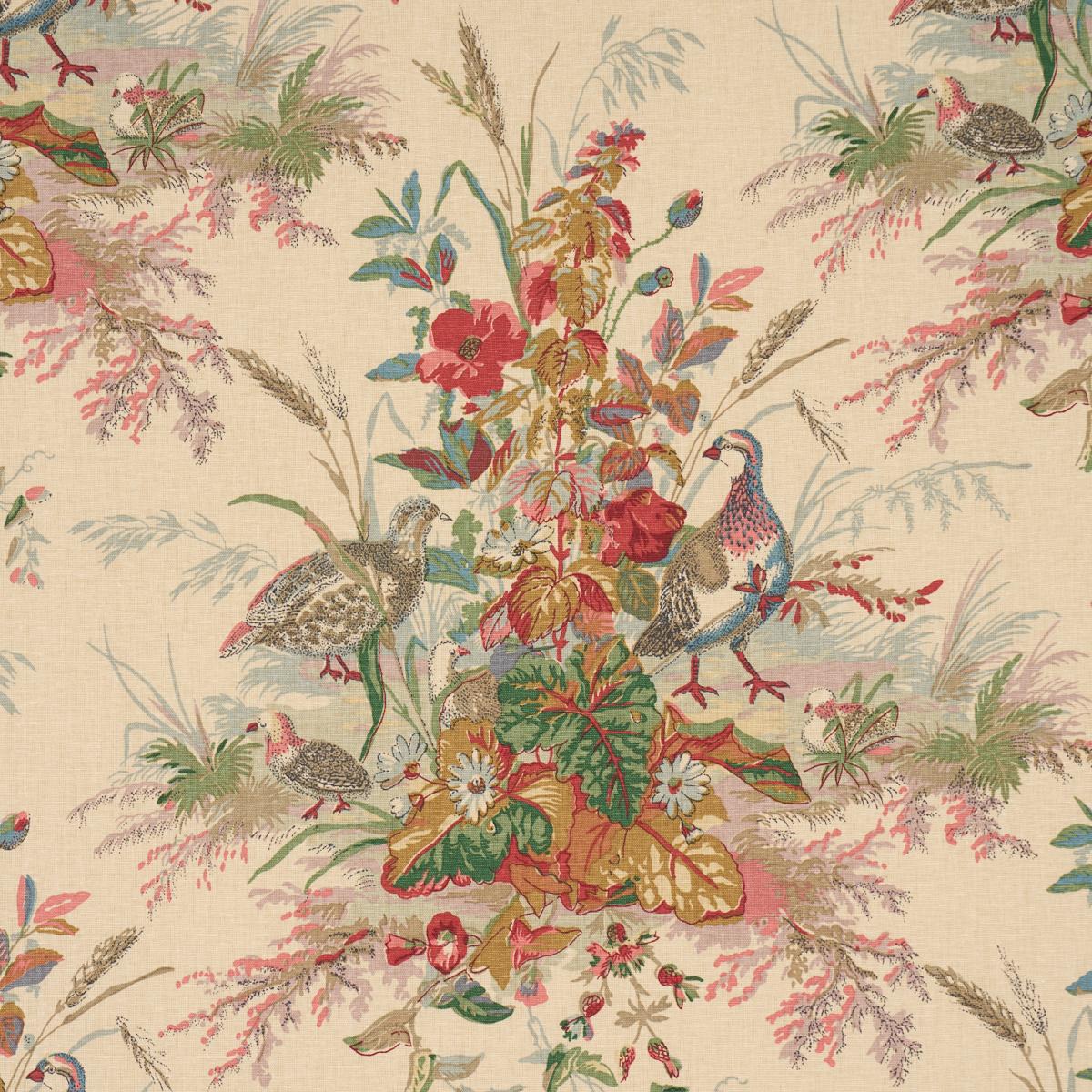QUAIL MEADOW SUMMER