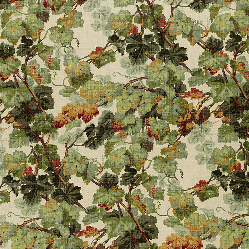 Schumacher ARBOR VINE DOCUMENT Fabric | Atlanta Fabrics