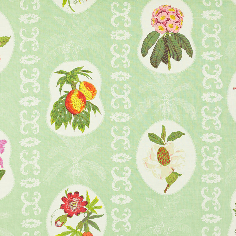 Schumacher MARTINIQUE SPROUT Fabric | Atlanta Fabrics