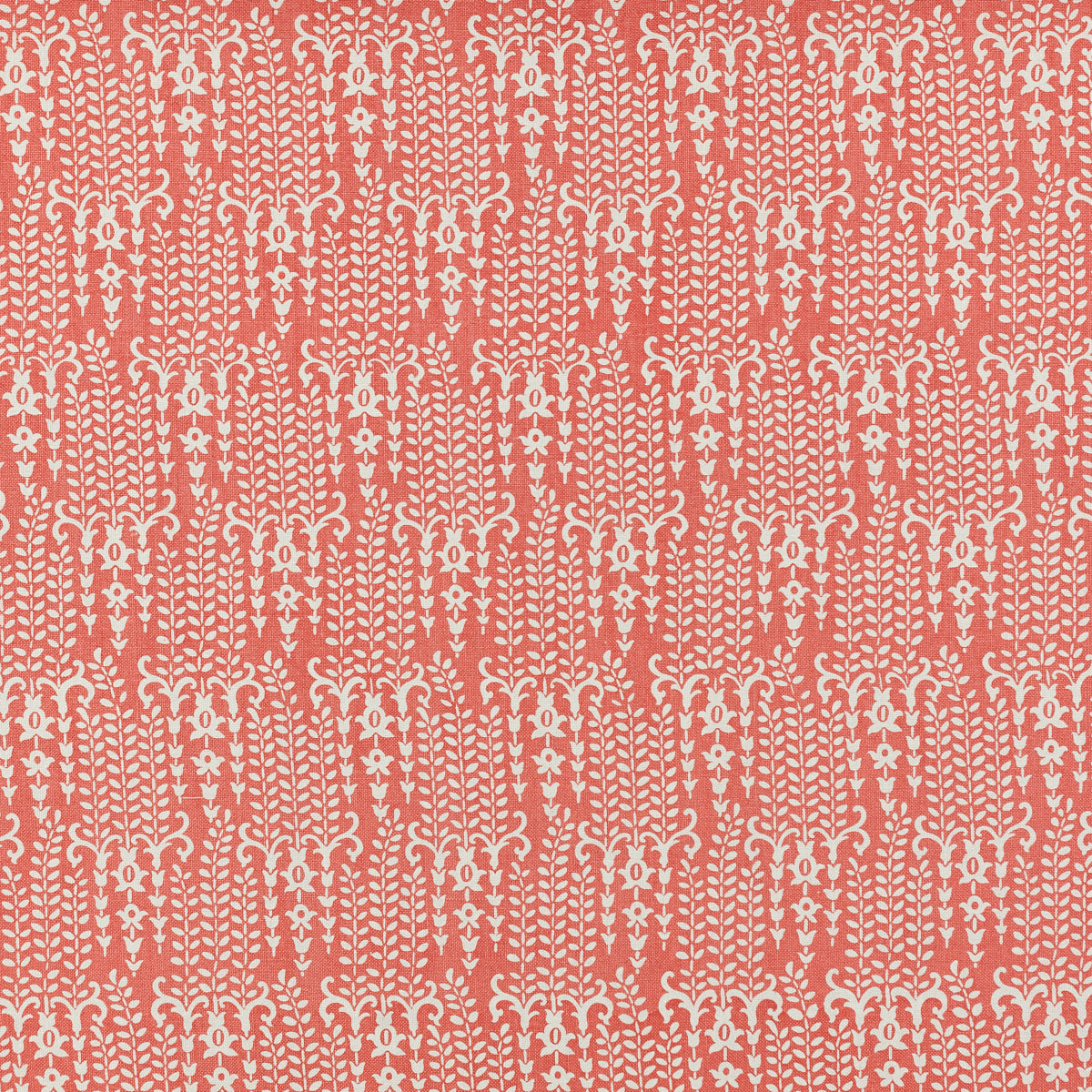 GILBERTE CORAL