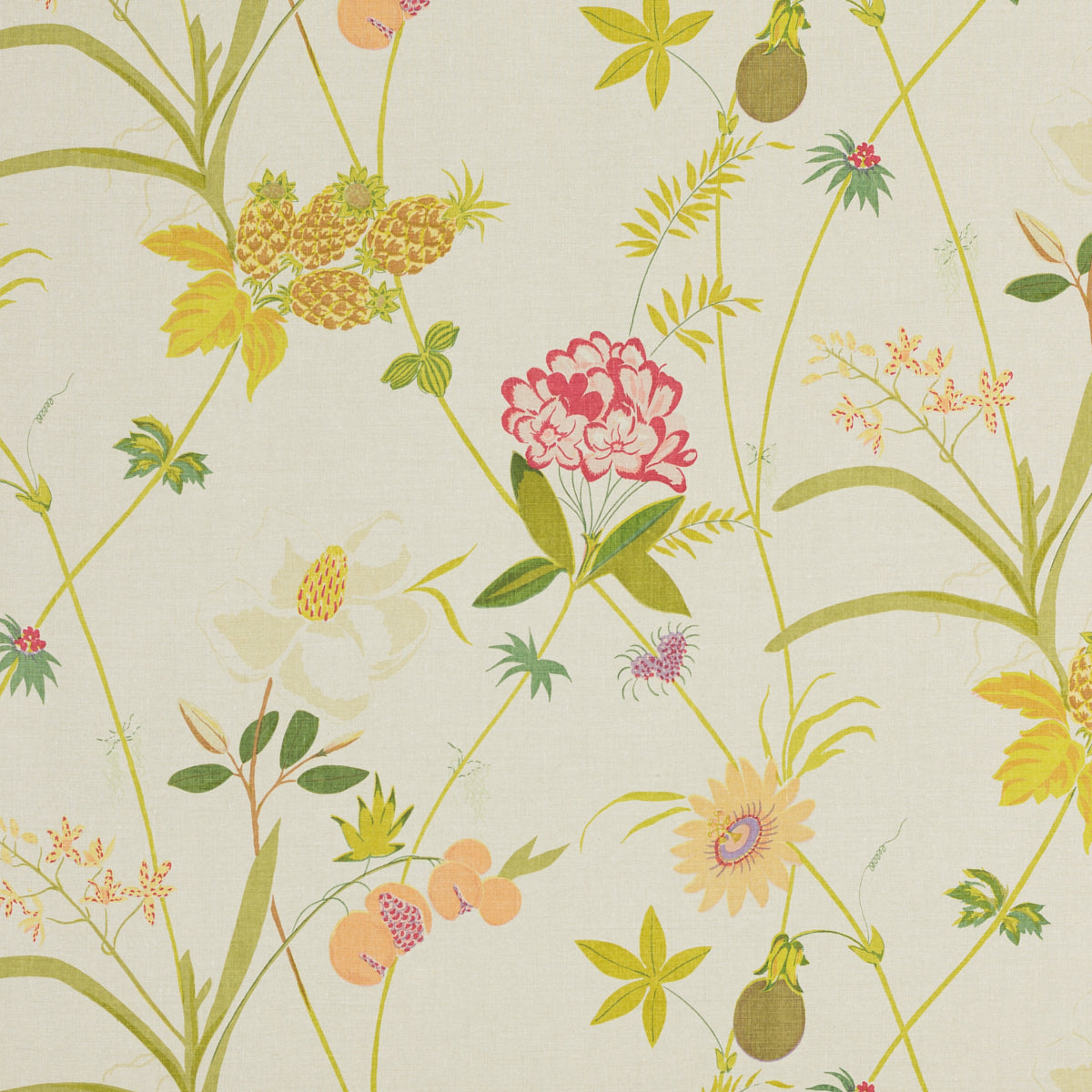 Schumacher SECRET GARDEN BY RAOUL NATURAL Fabric | Atlanta Fabrics