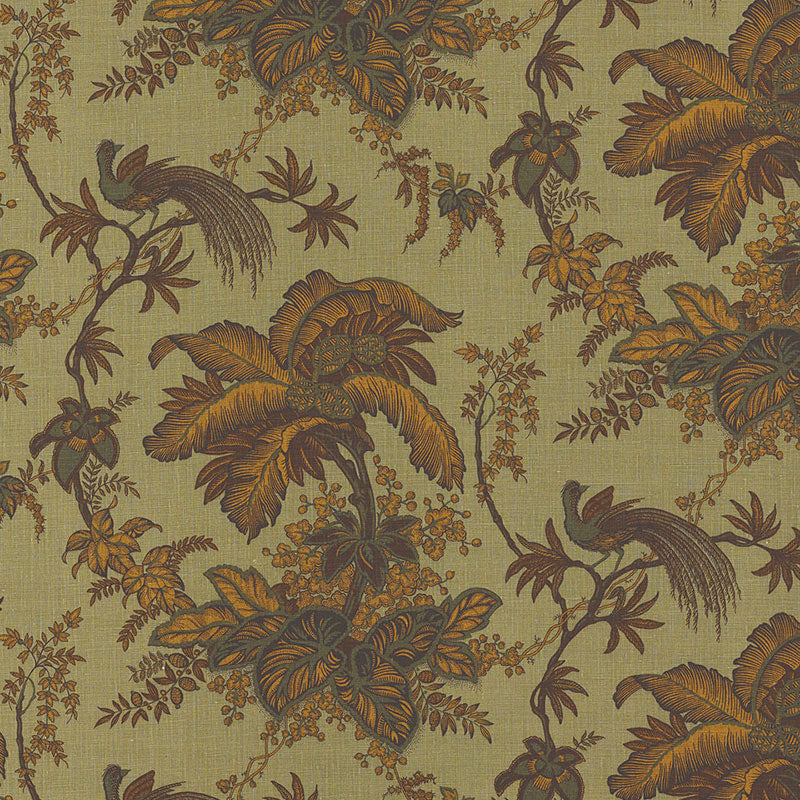 COCONUT GROVE SPRUCE
