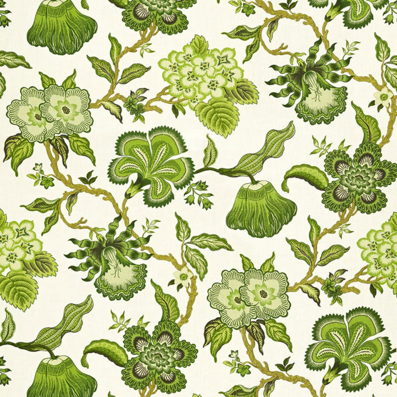 Schumacher HOTHOUSE FLOWERS VERDANCE Fabric | Atlanta Fabrics