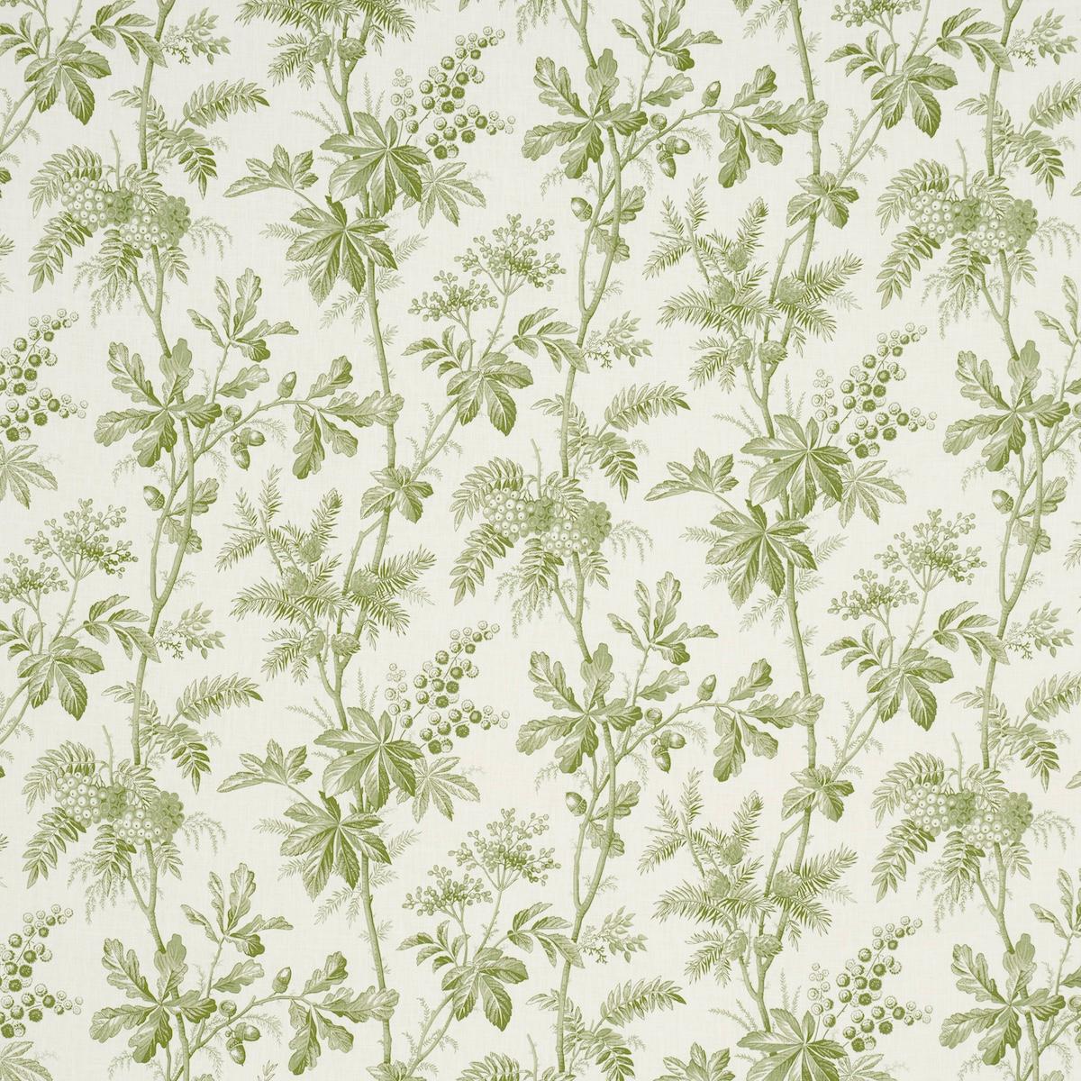 BRANTWOOD VINE LEAF
