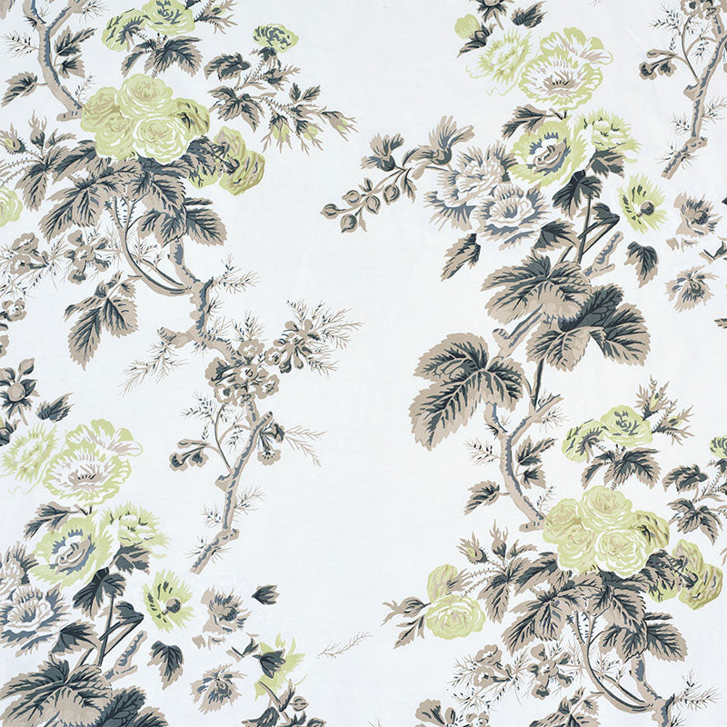PYNE HOLLYHOCK GREEN TEA