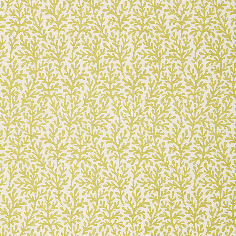 Schumacher SEA CORAL CHARTREUSE Fabric | Atlanta Fabrics