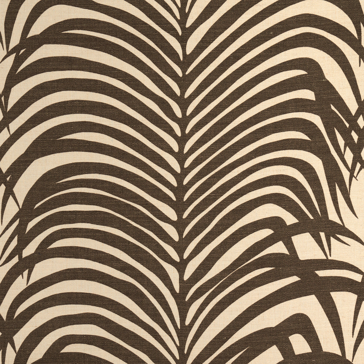 ZEBRA PALM JAVA