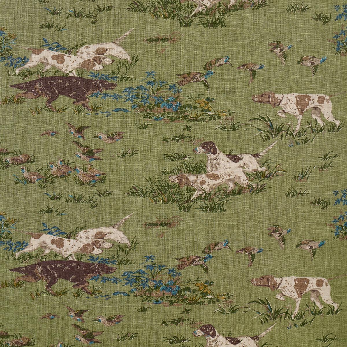 Schumacher POINTERS MEADOW Fabric | Atlanta Fabrics